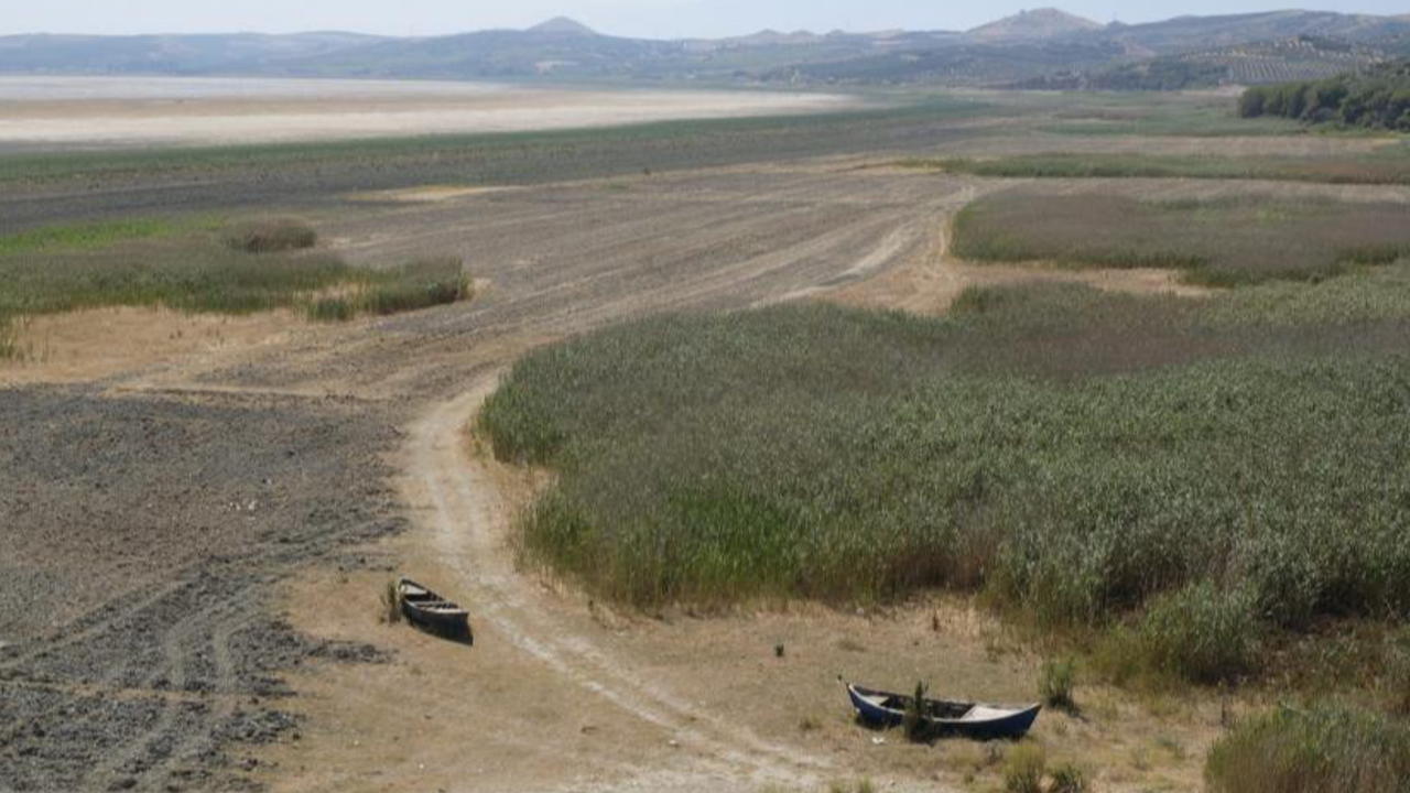 Yanlış tarım politikaları, 'kuş cenneti' olarak bilinen göle, cehennemi yaşatıyor...
