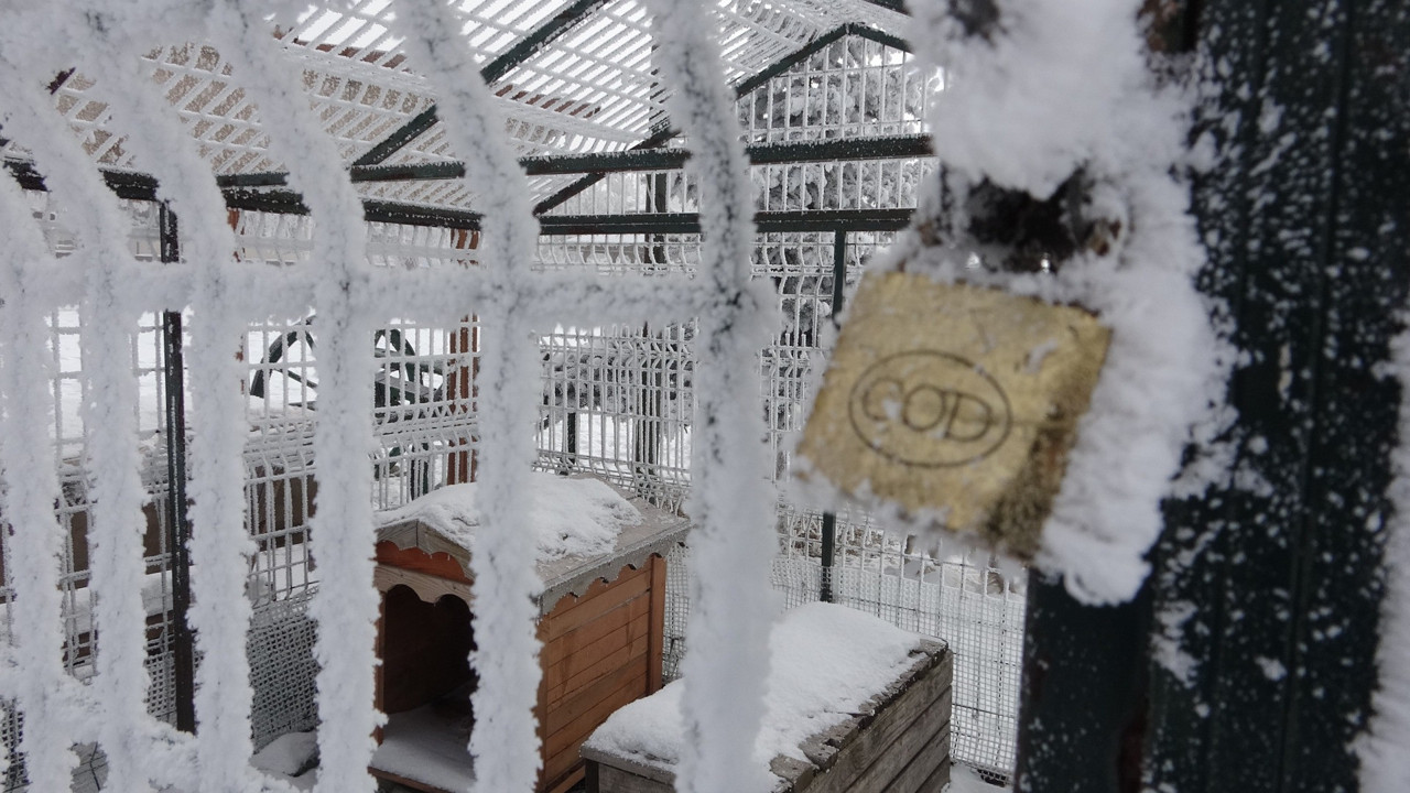 Göle'de dondurucu soğuk