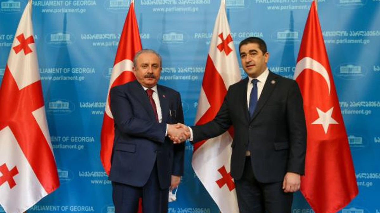 Şentop, Gürcistan Parlamentosu Başkanı ile görüştü