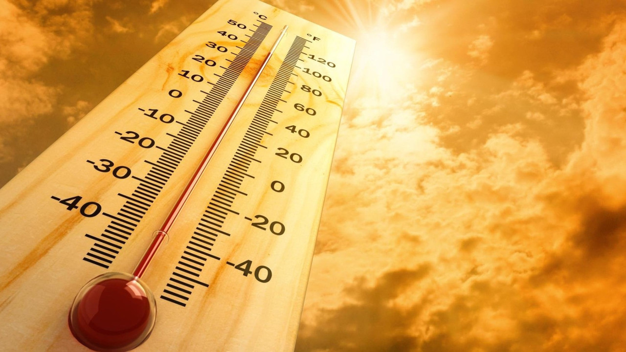 Düzce'de sıcaklık rekoru kırıldı