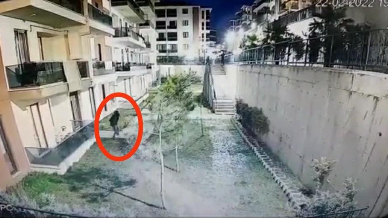 Palalı örümcek adam görüntülendi