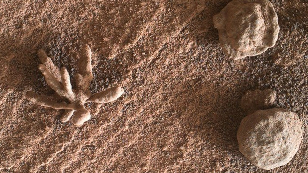 Mars yüzeyinde daha önce hiç görülmemiş çiçeğe benzer bir oluşum keşfedildi