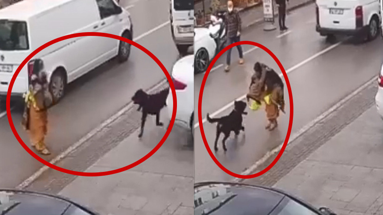 Böyle anne olmaz olsun! Evladını köpeğin önüne atıp kaçtı...