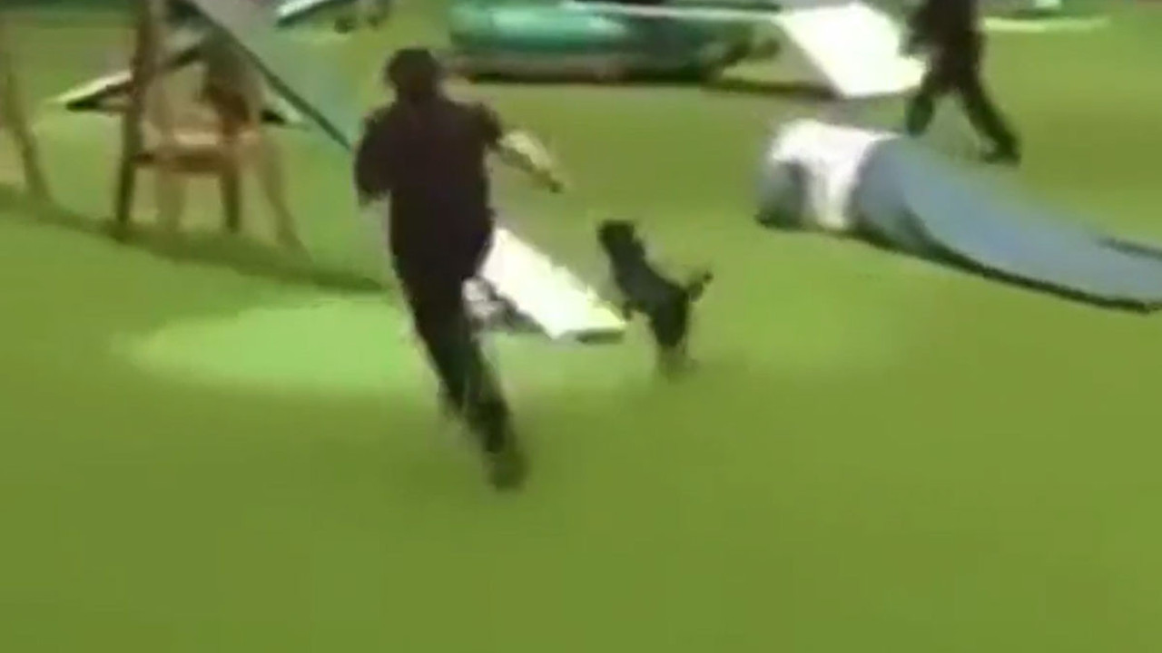 Süper köpek yarışırken yaptı yapacağını