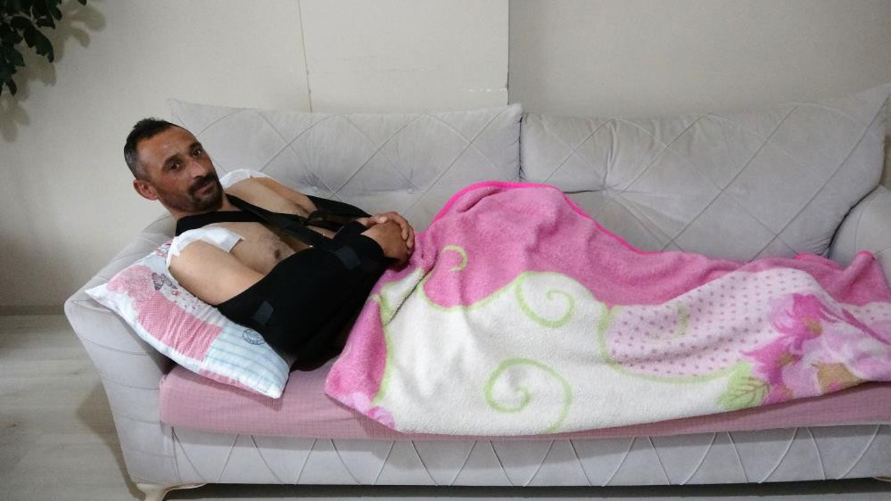 Gidin siz bir de domuzun halini görün