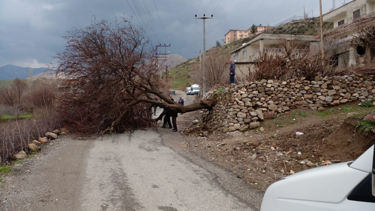Batman fırtınaya teslim oldu!