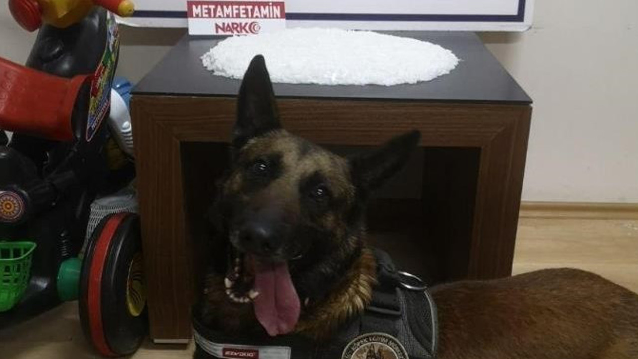 Uyuşturucu zulası polisi şok etti