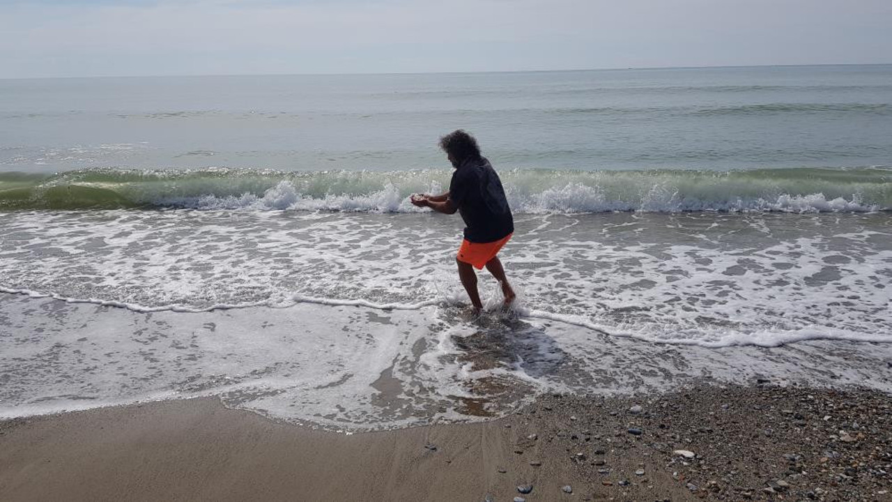 Deniz analarından sonra onlar da karaya vurdu. Görenler şaşırıp kaldı