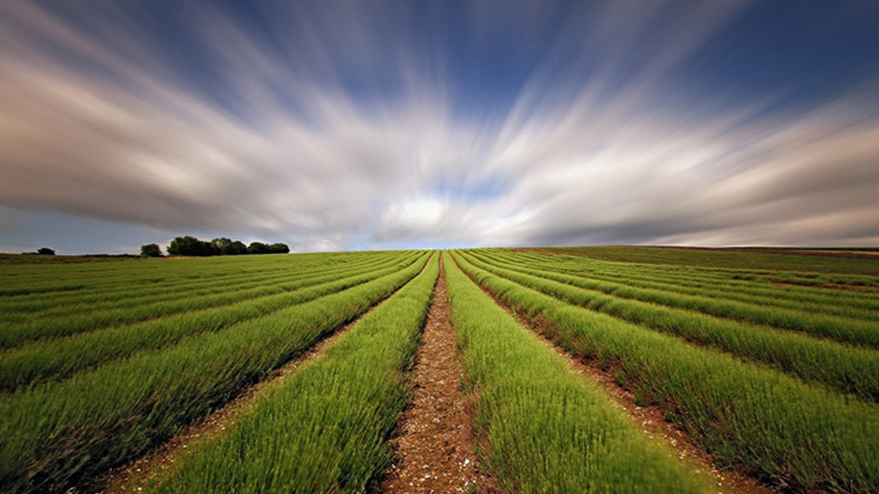 Üretim için destek isteyen ziraatçılardan itiraf gibi açıklama