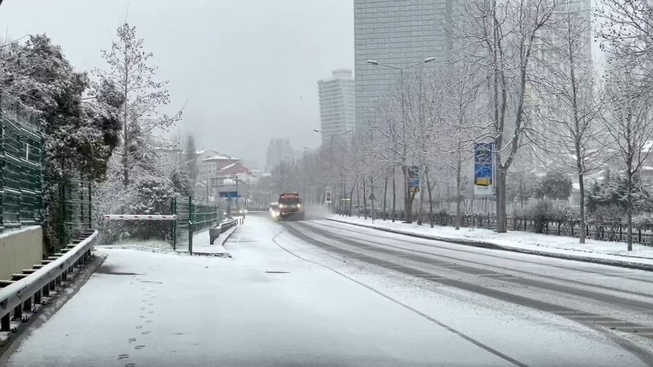 İstanbul'da beyaz esaret başladı. Aybar geldi