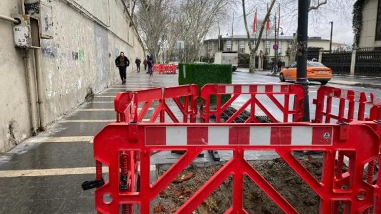 Beşiktaş'ta 112 ağaç "kanser" gerekçesiyle kesildi