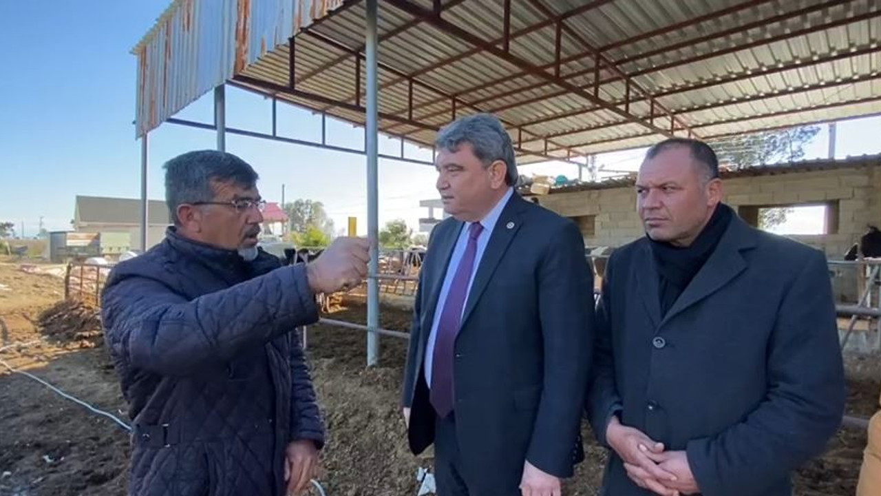 Süt üreticisi perişan! Sütte kriz büyüyor 1 Litre Süt 600 Gram Yem Etmiyor!