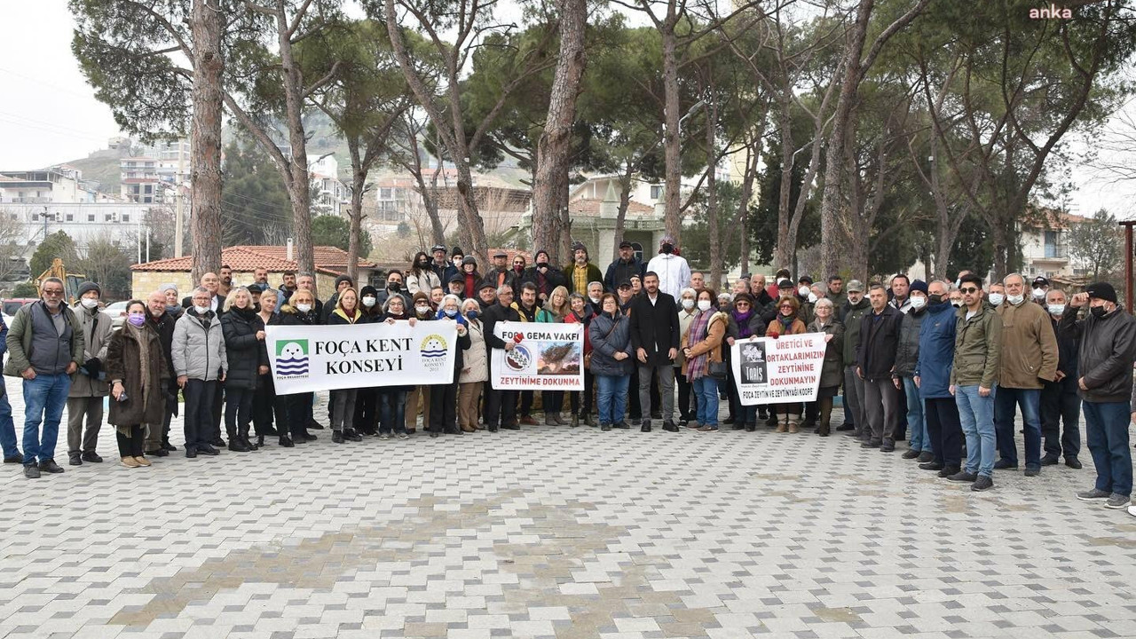 Foça'da 'Zeytinime dokunma' eylemi