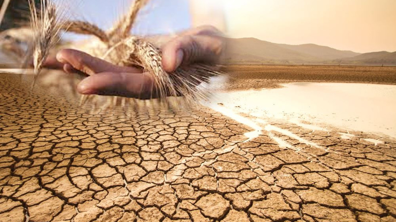 Bu yaz deniz, kum, güneşi konuşmayacağız, Ana başlık ‘Kıtlık’