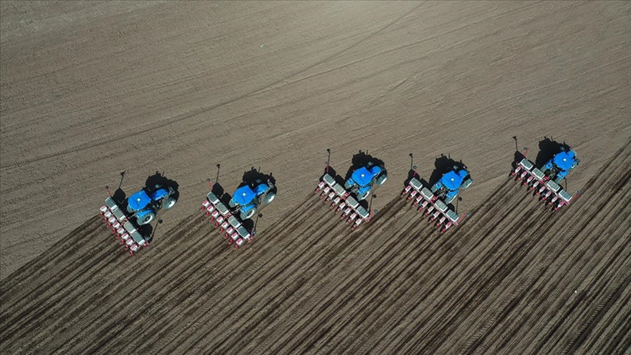 Akılları başlarına geldi