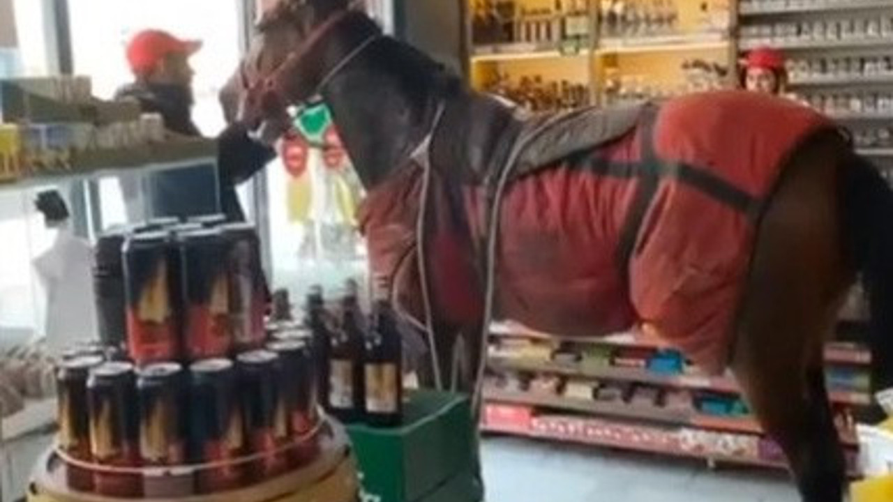 Çaldığı atla markete gitti