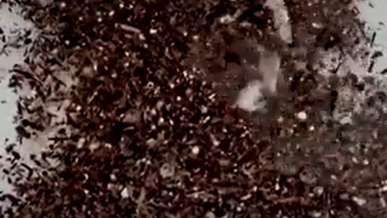 Bilim insanları korkarak açıkladı İnsan kanında ilk kez bulundu