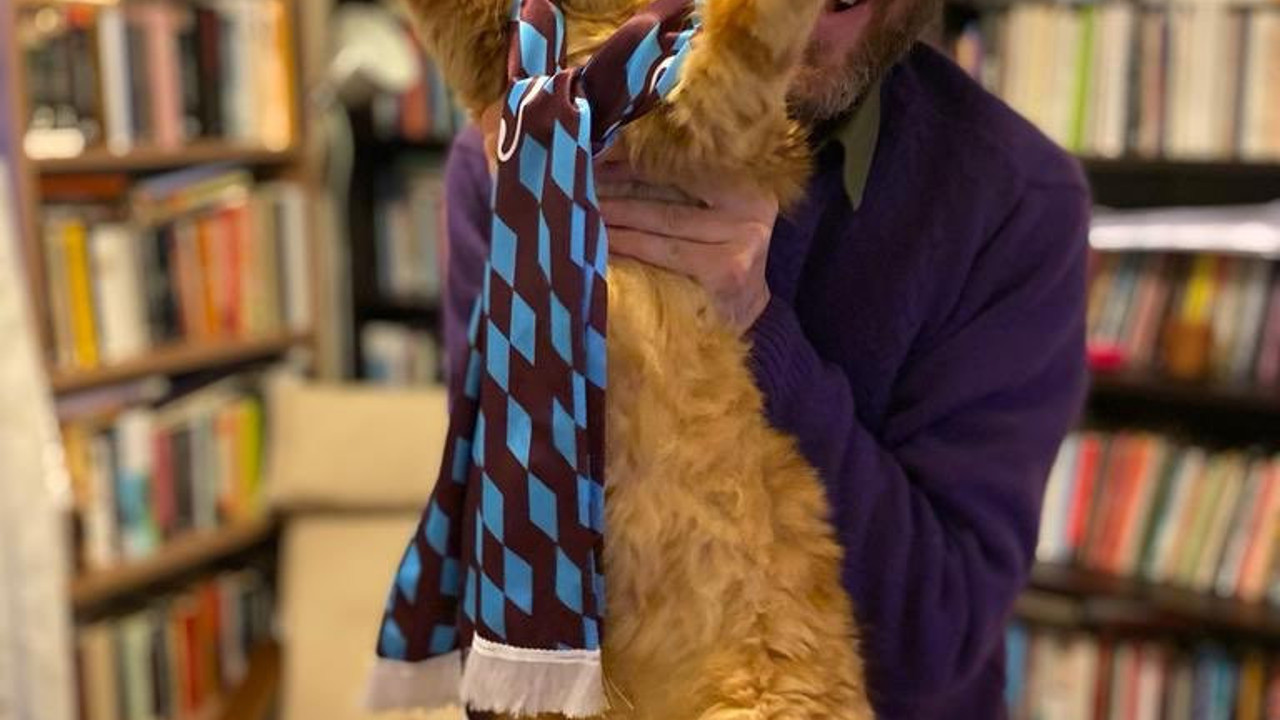 Yusuf Yazıcı, gol sevincini en iyi taklit eden kediye bakın ne sözü verdi