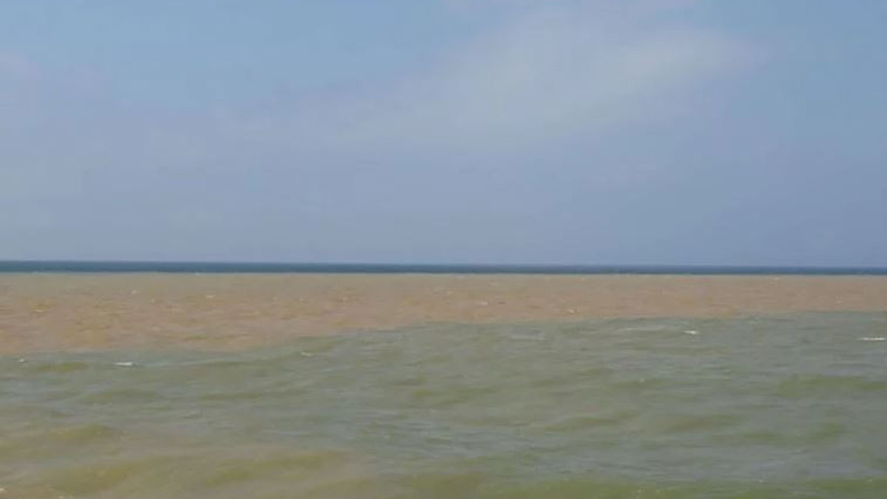 Şile'de denizin rengi değişti