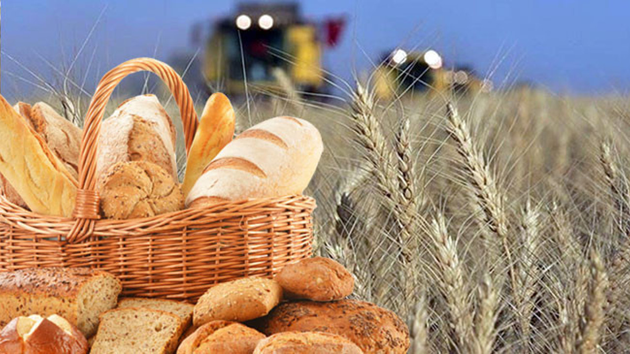 Böyle giderse yiyecek ekmeği bile zor buluruz! Toprak Mahsulleri Ofisi açıkladı, buğdaya rekor zam geldi