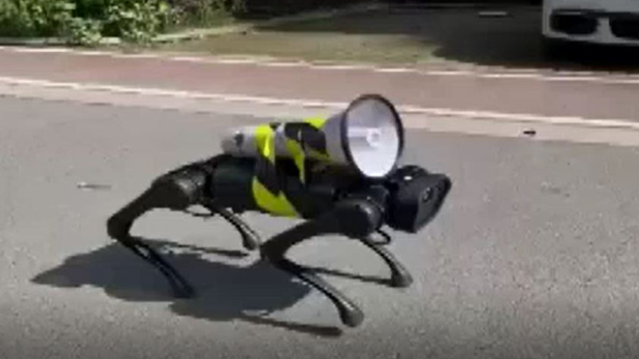 Robot köpek şaşkına çevirdi