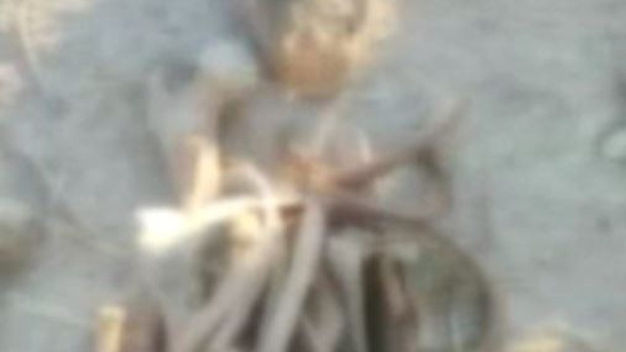 Karabağ'da 3 insan iskeleti bulundu