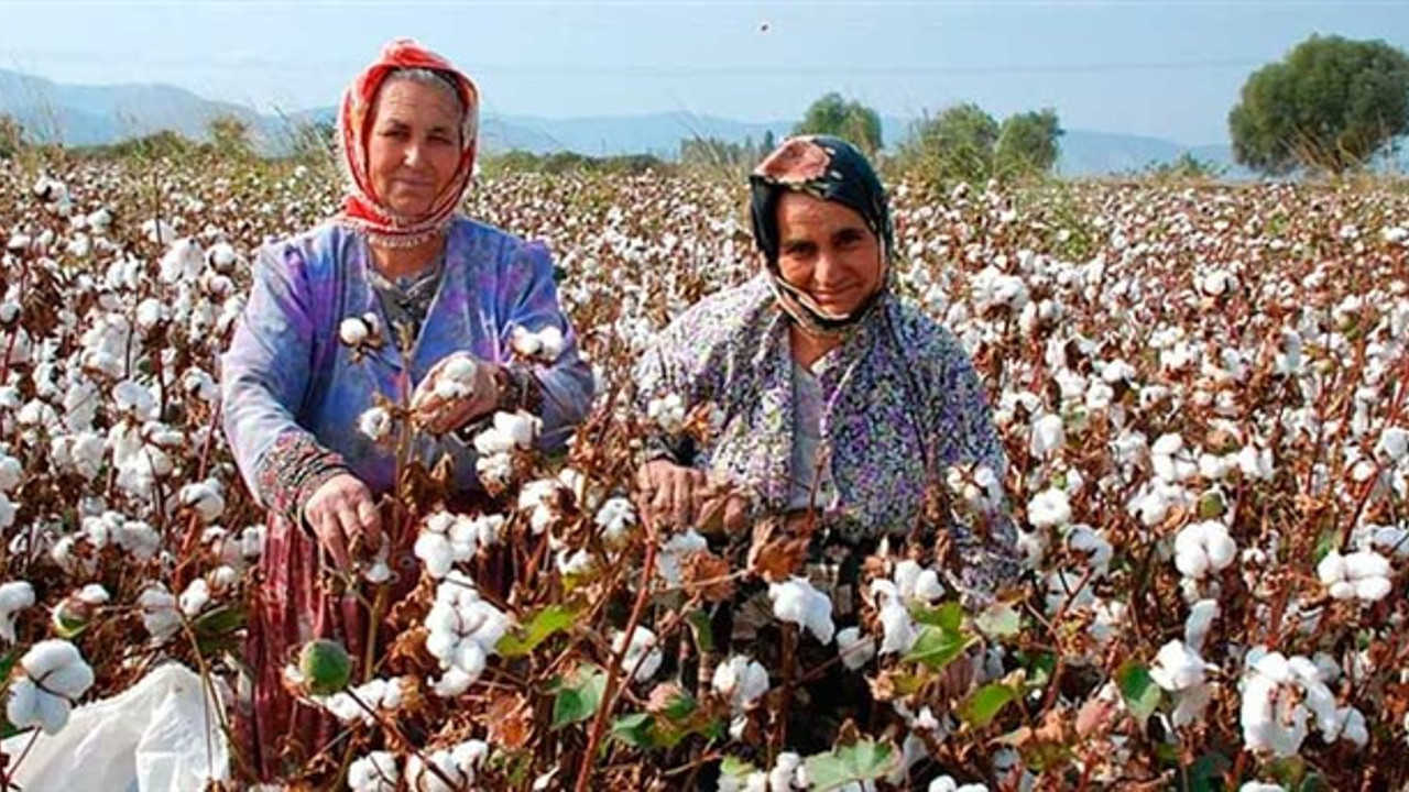 Eyvah eyvah bir üründe daha kıtlık zilleri çalıyor