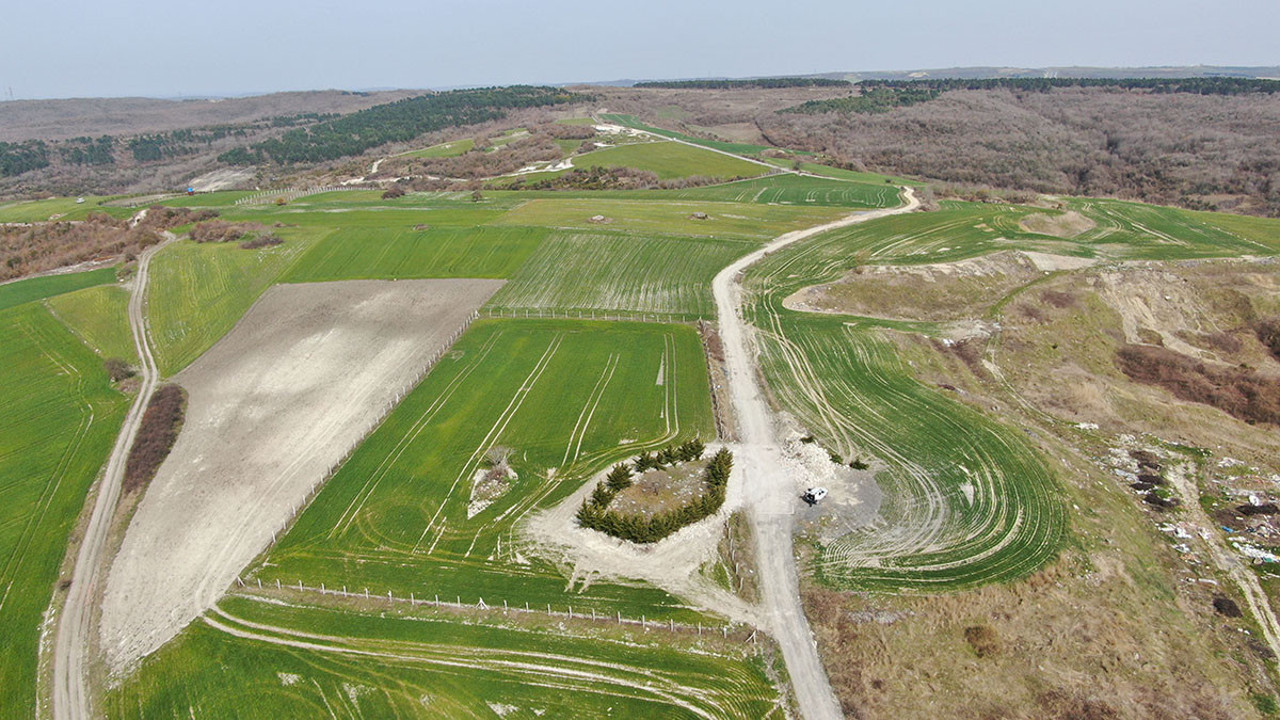 İstanbul’da şehitlik davalık oldu! Mahkemeden tartışılan karar…