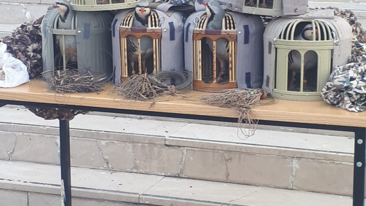 Tuzaklama ile kaçak avcılık yapanlara ceza kesildi