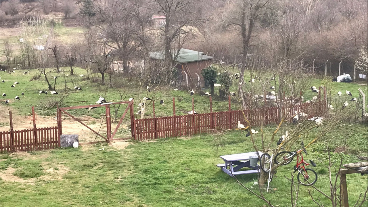 İstanbul'un henüz yok edilmemiş bölgesine geldiler