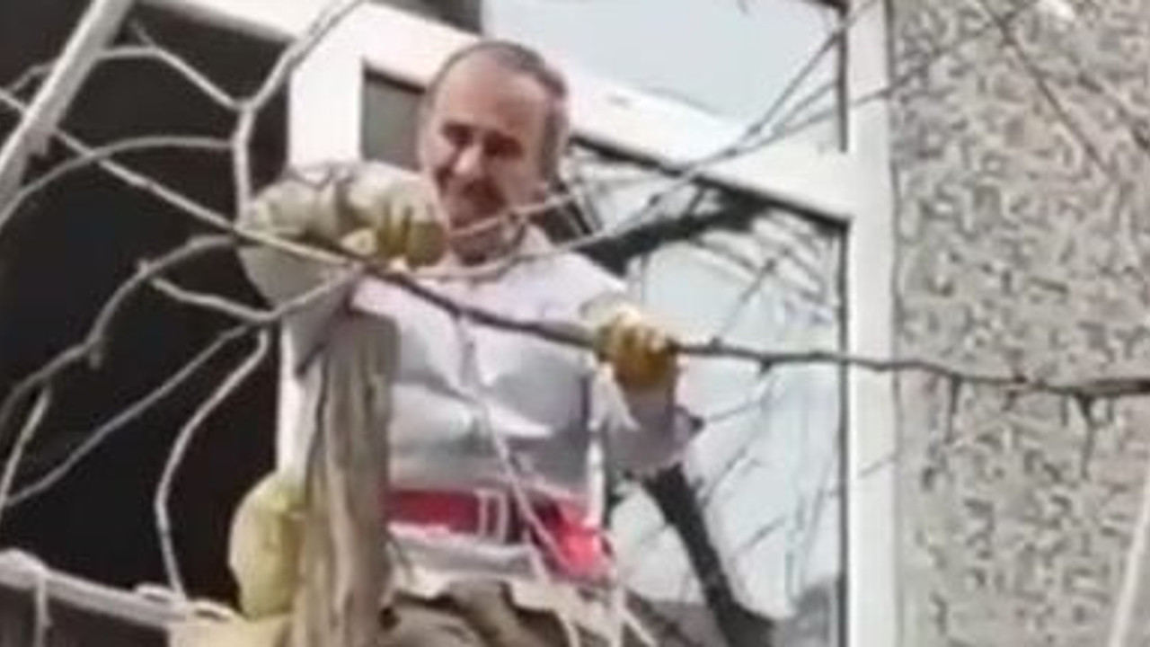 Böyle ağaç budama görülmedi