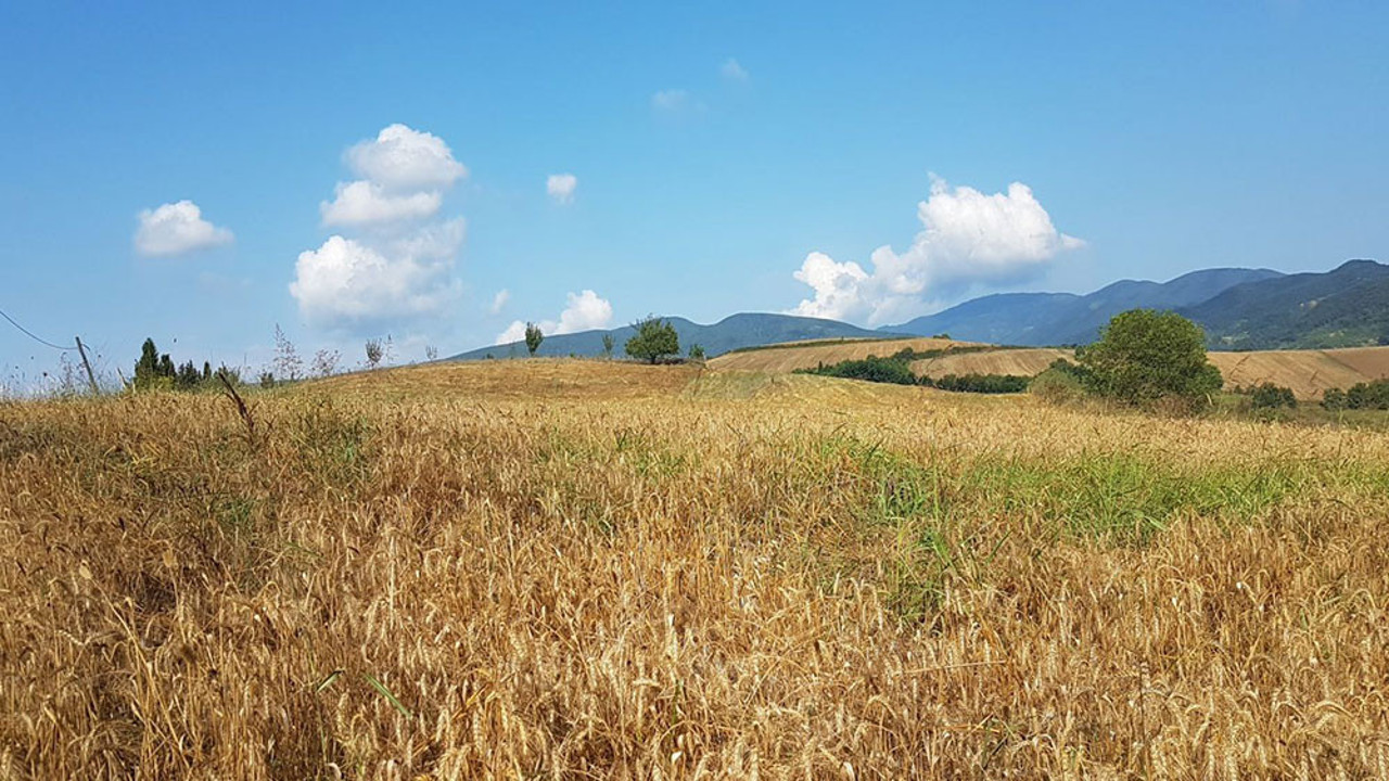 Besni Belediyesi arsa satışı yapacak