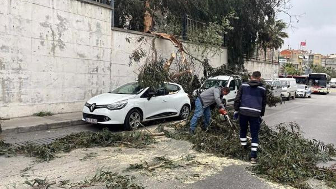 Fırtına İzmir'i vurdu ağaçlar otomobillerin üzerine yıkıldı