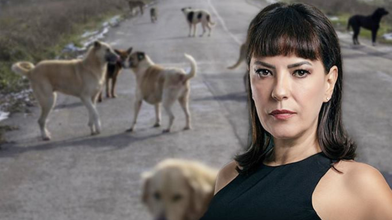 Yeşim Salkım. ''Aklınızı başınıza devşirin. Hayvan sevgisini sizden öğrenecek değilim''