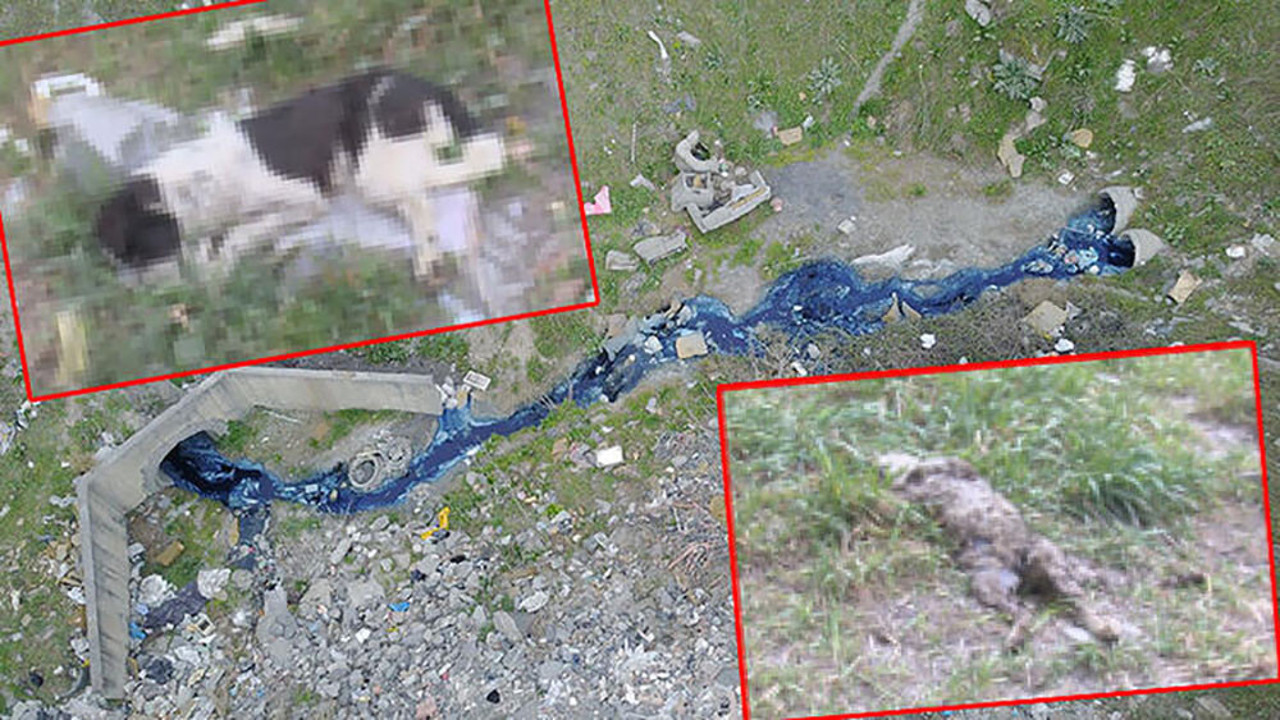 İstanbul'un göbeğinde zehir saçıyor! Bilin bakalım nereye akıyor...