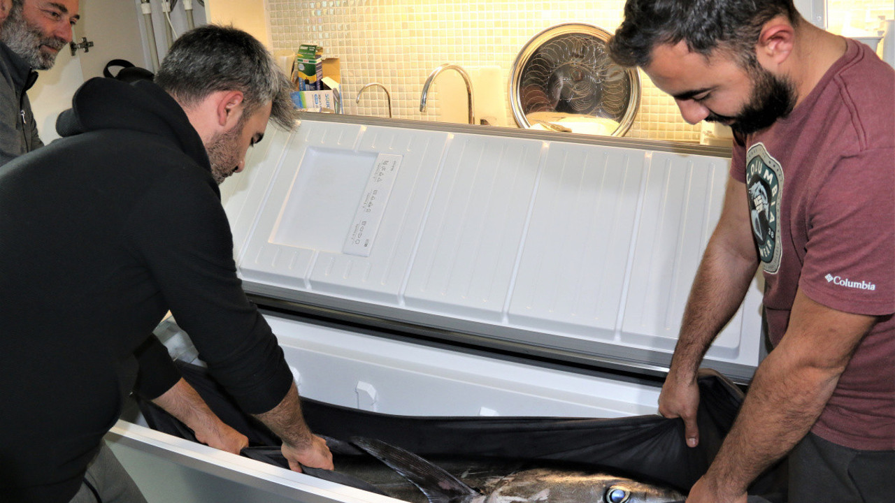 3 saat sürüklediler. Antalya'da balıkçıları şoke eden olay