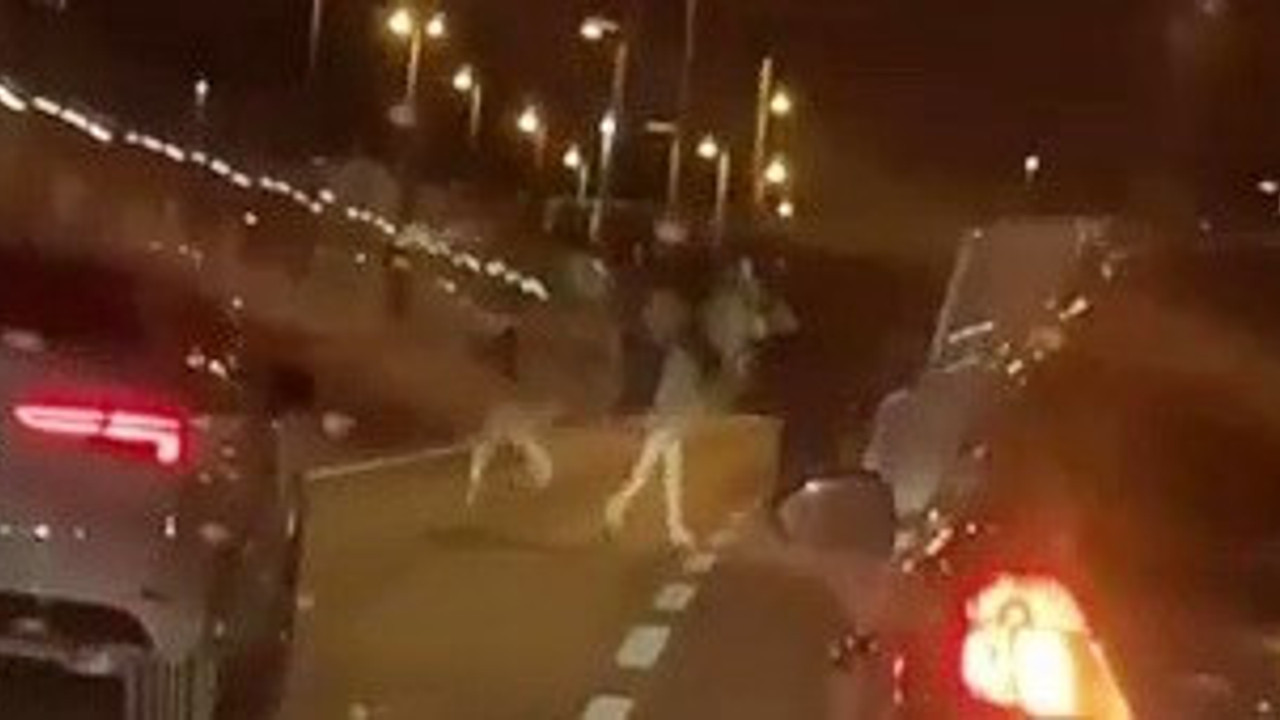 Avcılar kovboyu trafiği birbirine kattı