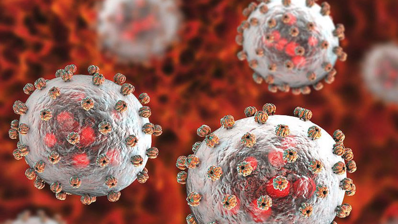 Dünyanın yeni kabusu can almaya doymuyor