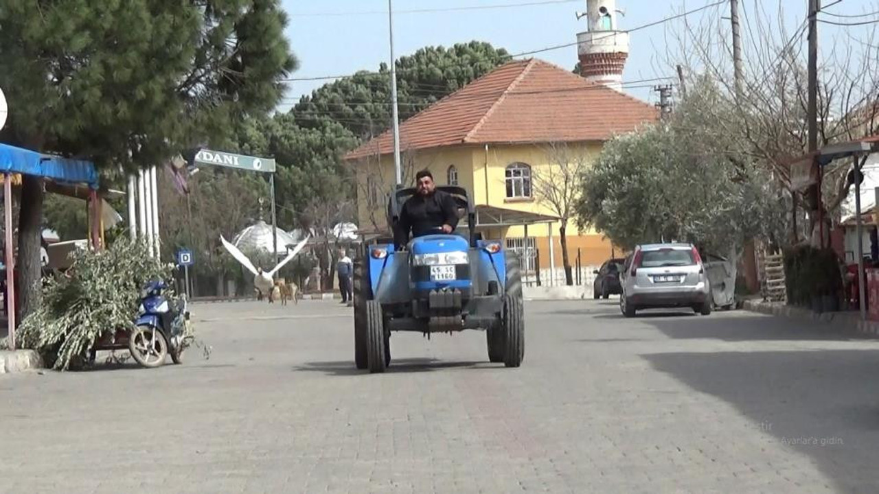 Yetişemeyince uçarak takip ediyor