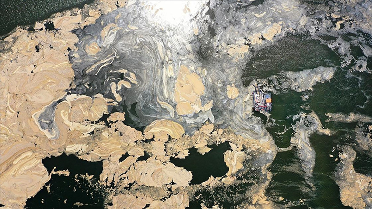 İşte Marmara’daki müsilajın nedeni! Raporda dikkat çeken detaylar…