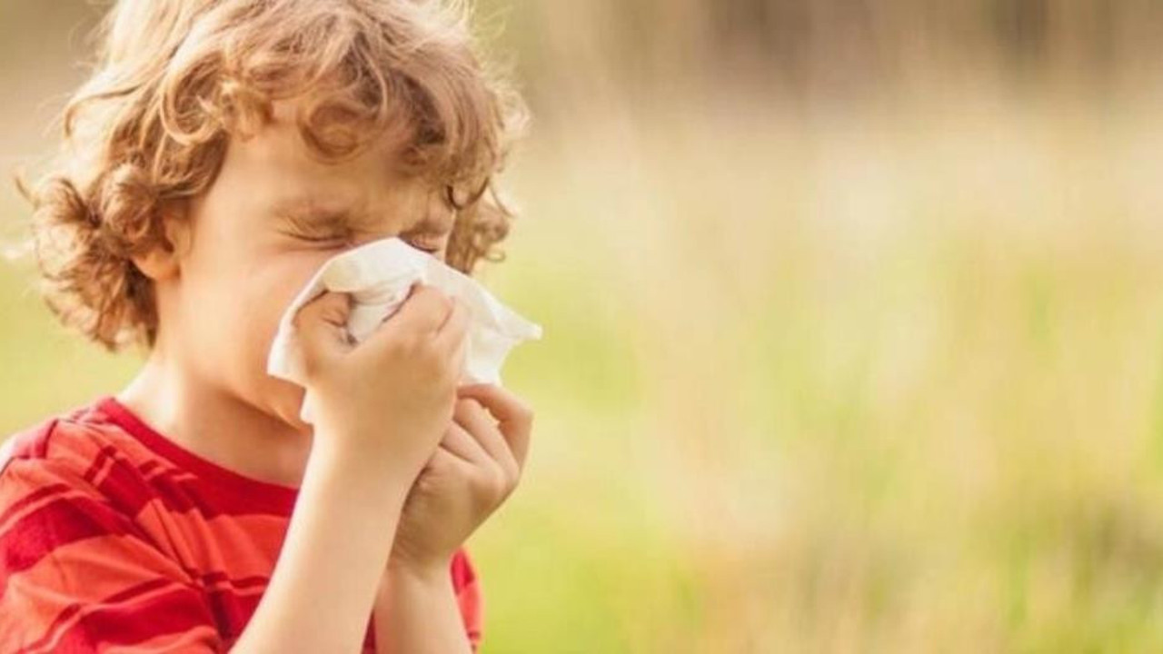 Küresel ısınmanın alerjik nezlelerin artışına şok etkisi