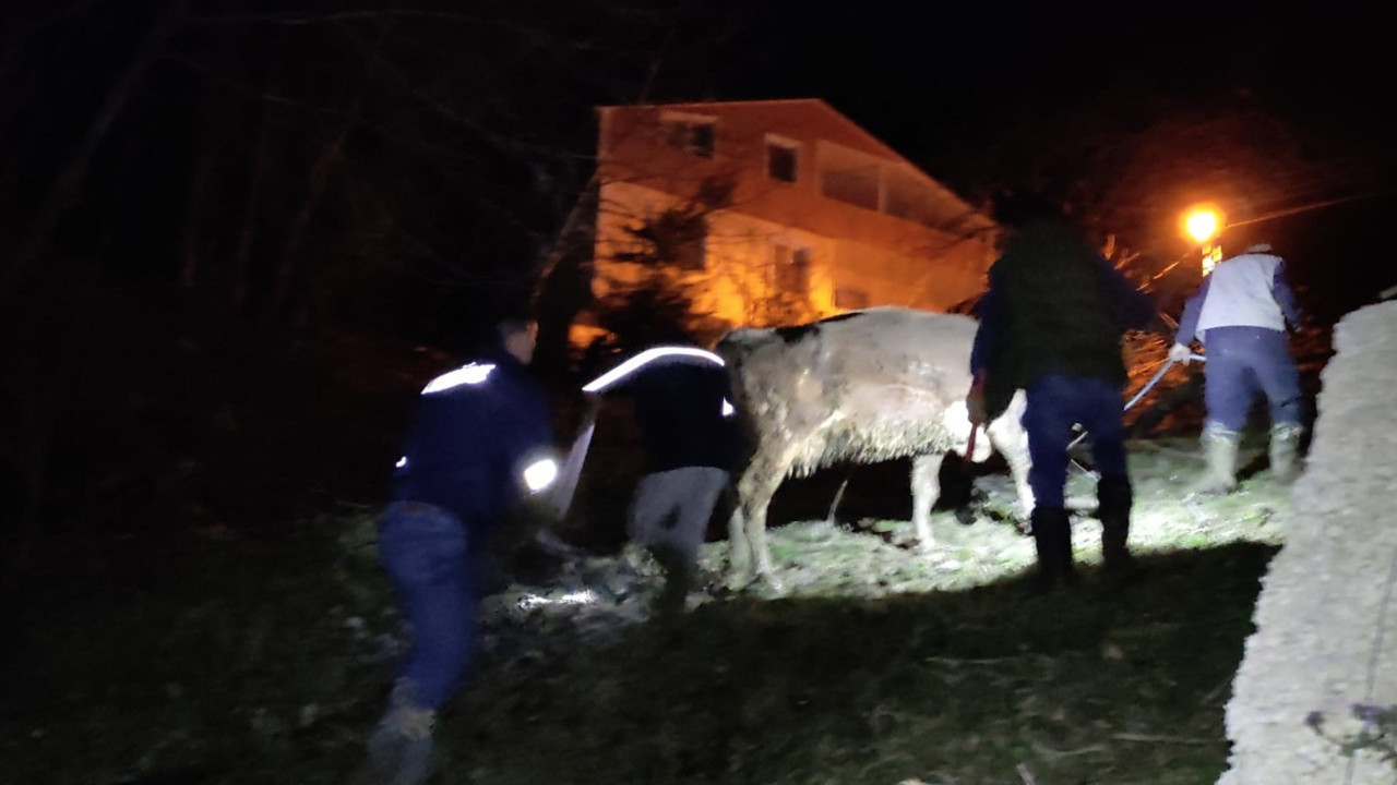Dereye düşen büyükbaş hayvan kurtarıldı