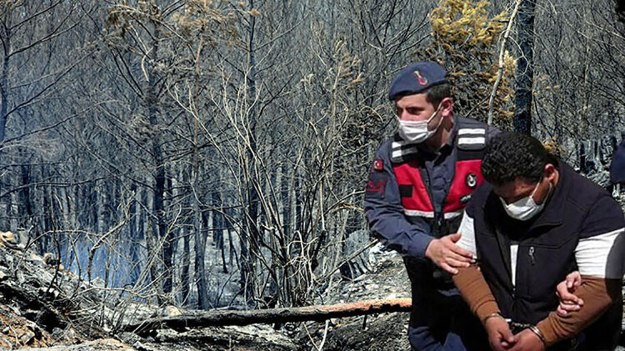 Vay vicdansızlar vay! Türkiye’nin cenneti Dalaman'daki yangından ‘vurgun’ çıktı…