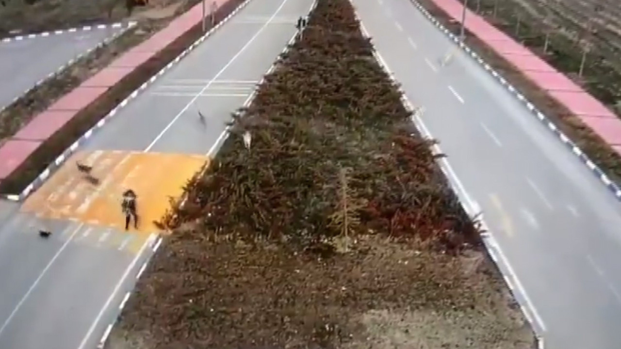 Kız öğrenciye 7 köpek birden saldırdı. Kadrajdan çıktıktan sonrası bilinmiyor