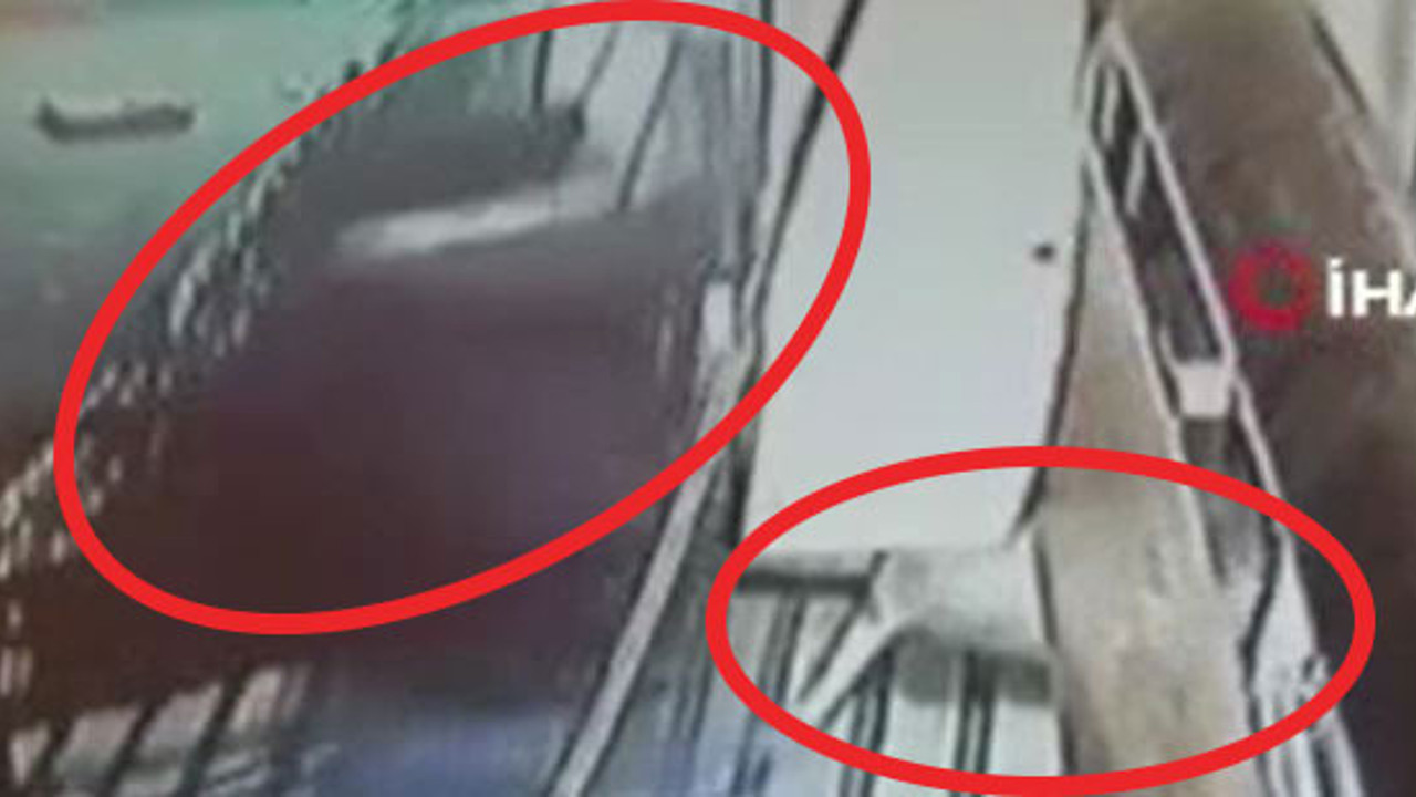 Sopalı manyak uyuyan köpeği dayaktan öldürüyordu