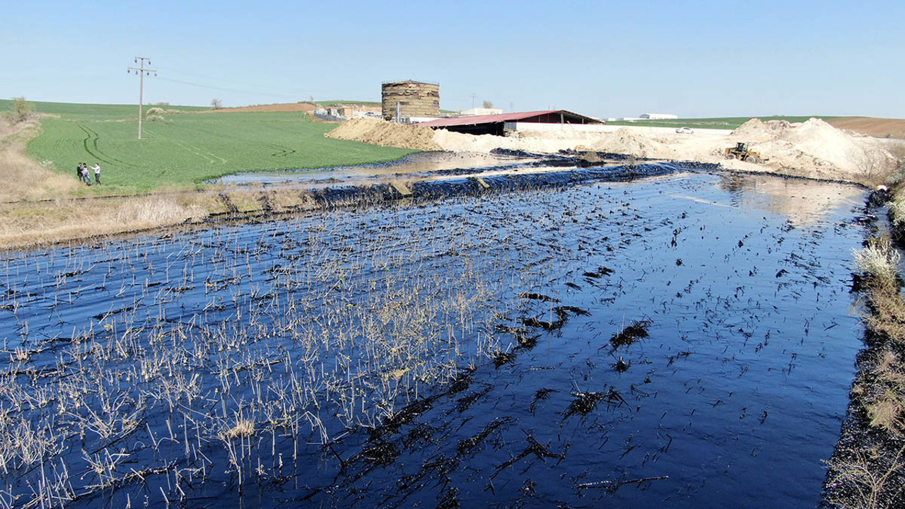 Edirne'deki çevre katliamında şantiyenin faaliyetleri durduruldu! Tarlaları ve dereyi zifte boğmuştu…