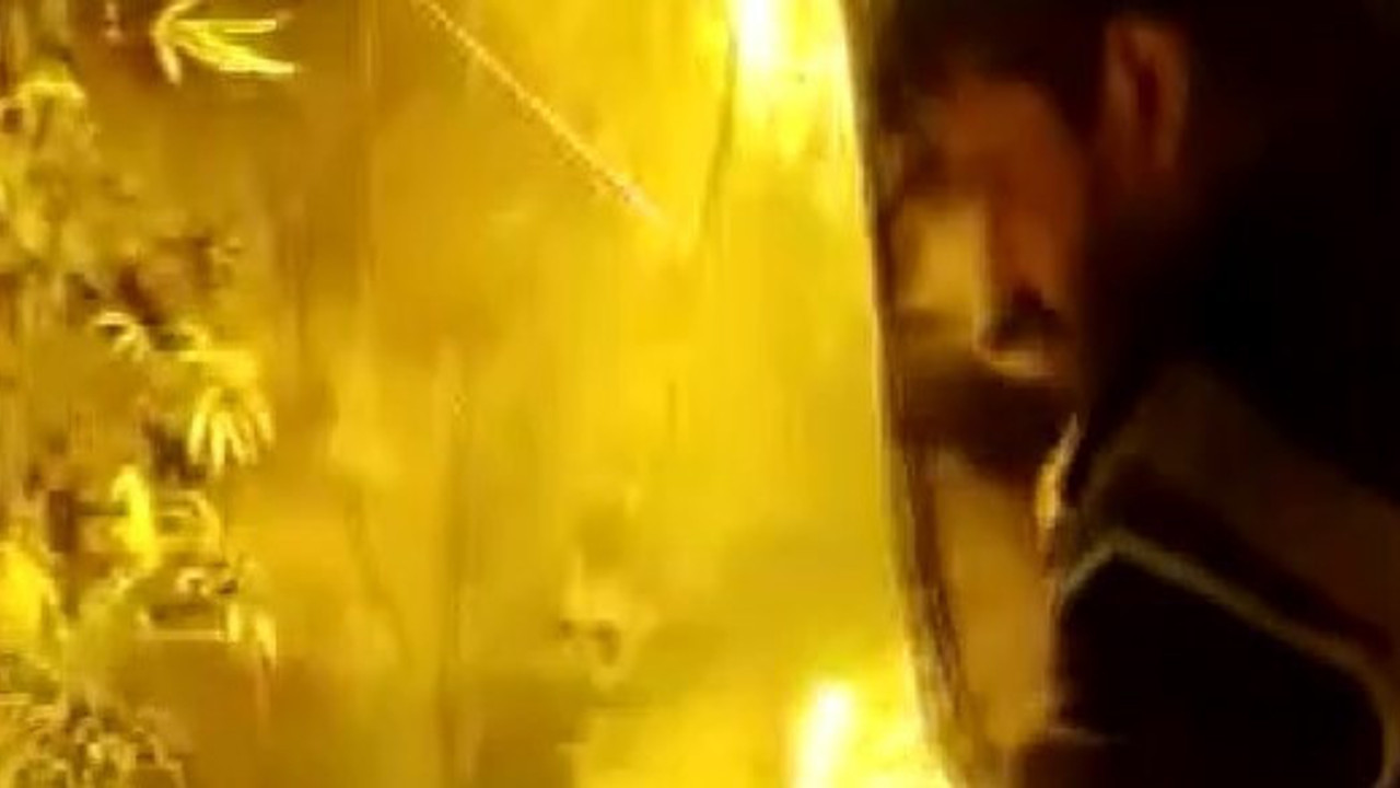 Odasını uyuşturucu tarlasına dönüştürdü