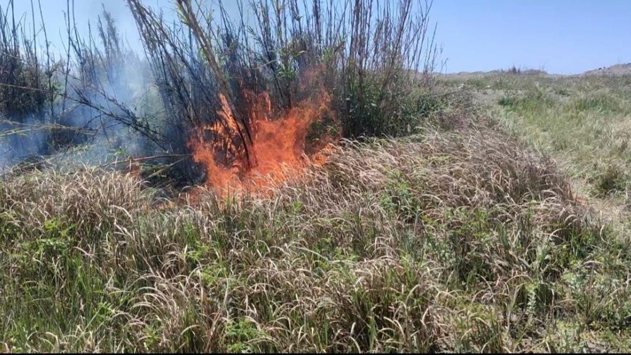 Kuş cenneti faciadan döndü