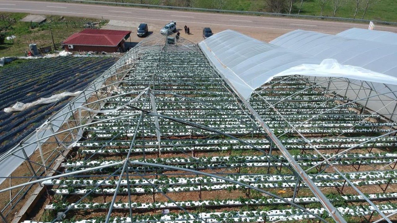 Fırtına çilek serasını uçurdu