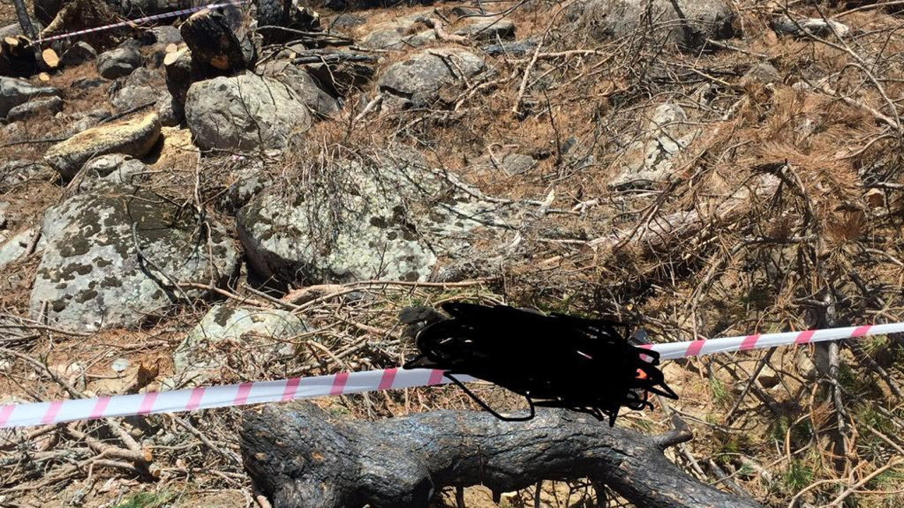 Kestiği ağacın altında kalan orman işçisi hayatını kaybetti